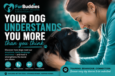 Dog understanding human emotions and body language with owner