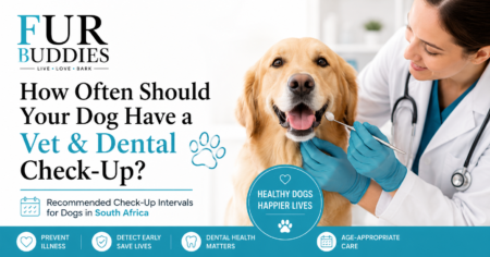 "Happy dog receiving a veterinary health and dental examination in South Africa with FurBuddies preventative care guide"