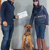 IMG_20240727_113149~2