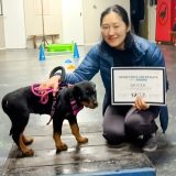 WhatsApp Image 2024-10-07 at 12.07.52_0f764878